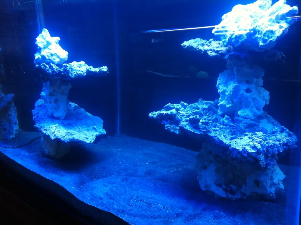 Brand new AQUASCAPE forum**** | Page 5 | Reef2Reef