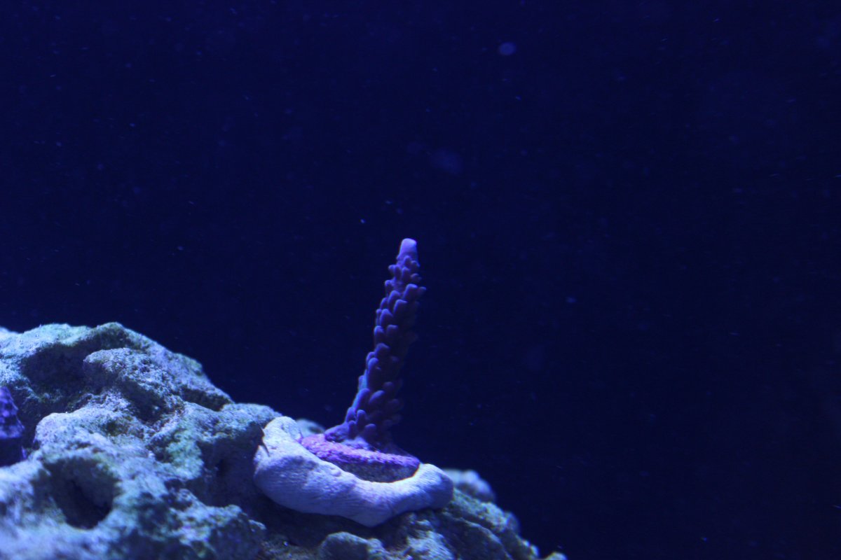IMG_2328.jpeg