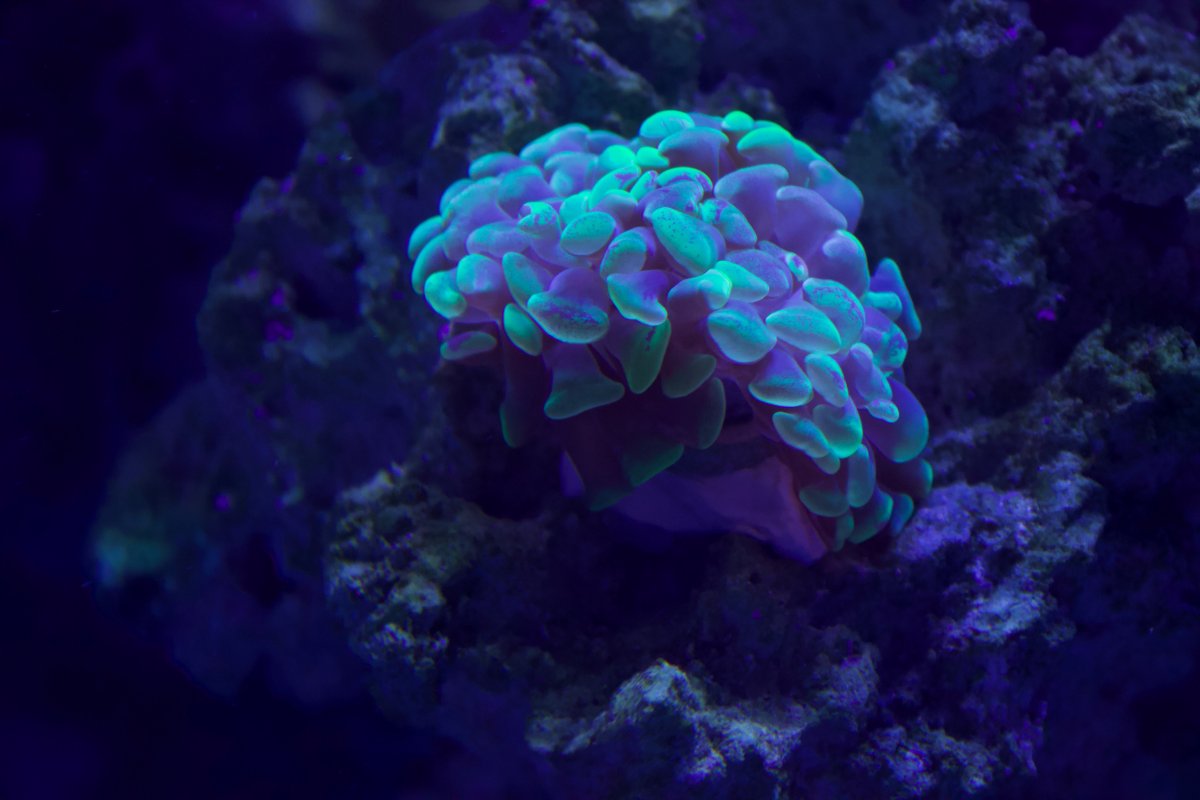 IMG_2365.jpeg