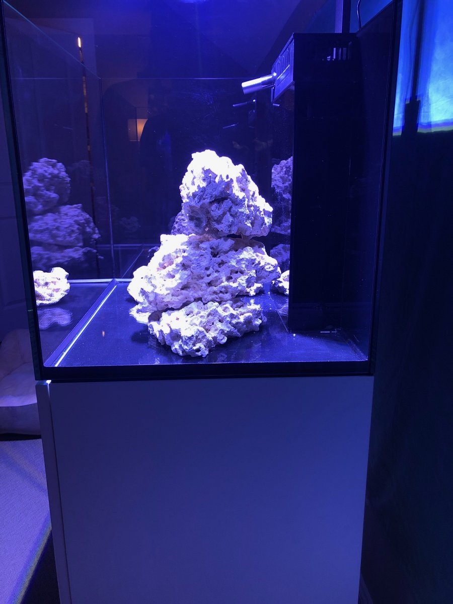 IMG_2378.jpeg