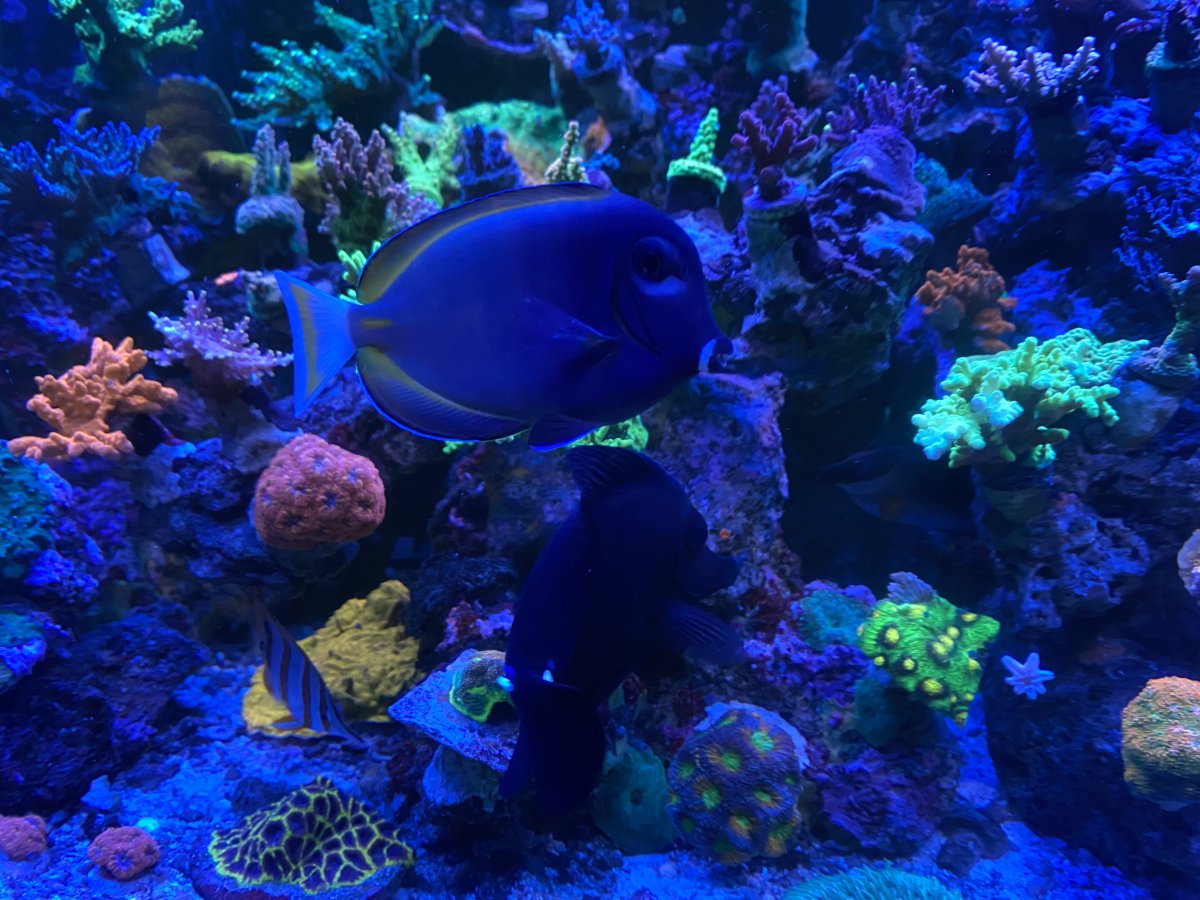 IMG_2402.jpeg