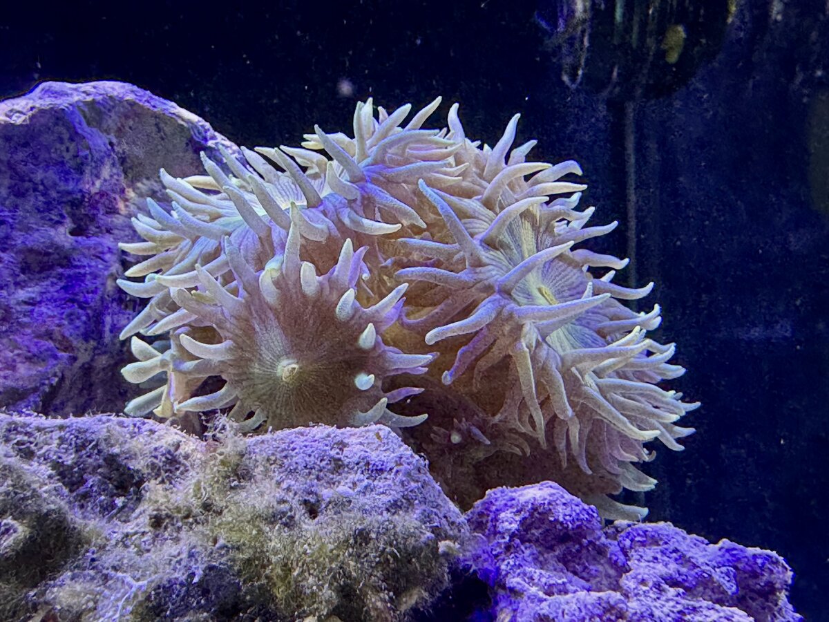 IMG_2413.jpeg