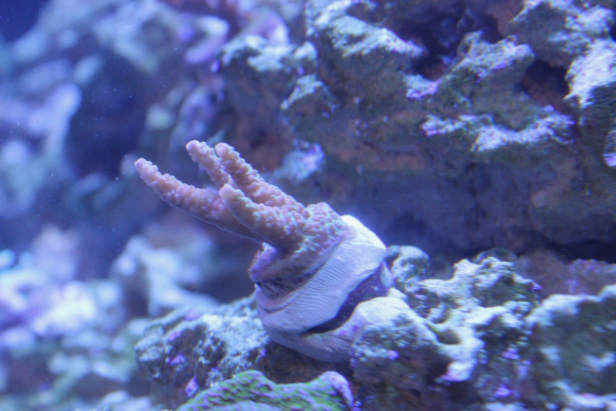 IMG_2427.jpeg