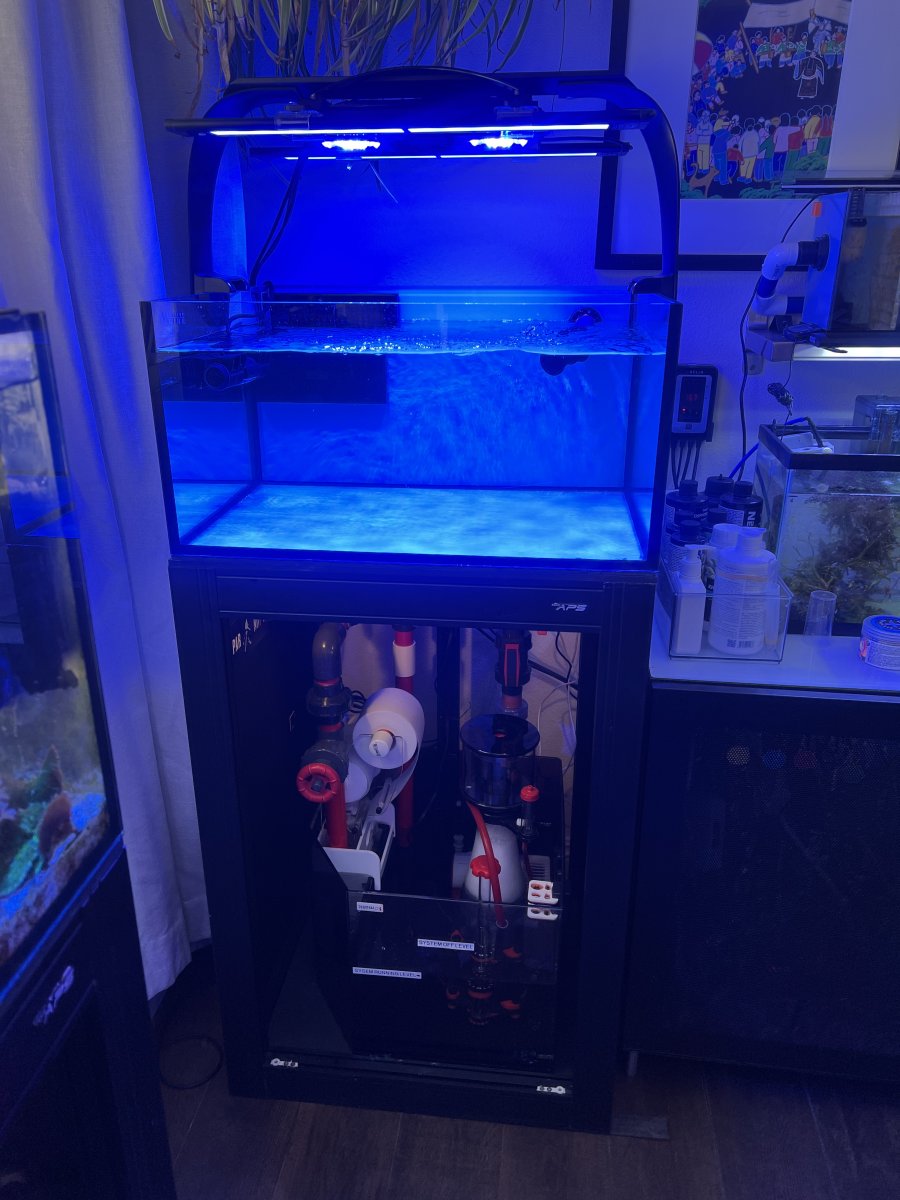Thoughts On A 29 Gallon Observation/Frag Tank? | Reef2Reef