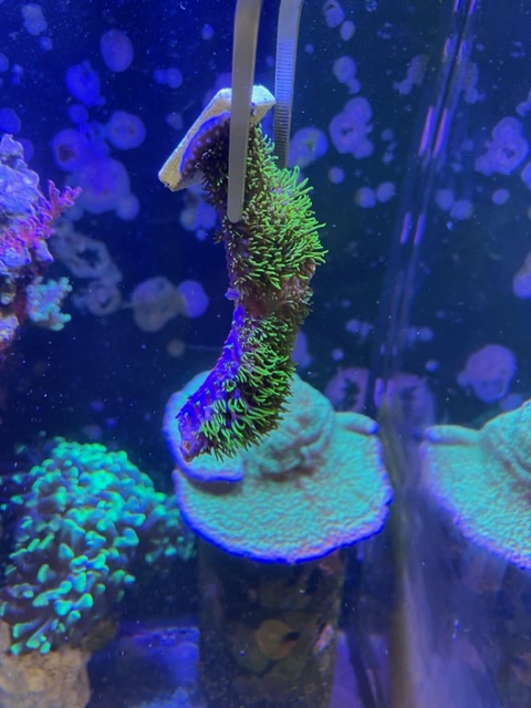 IMG_2475.jpeg