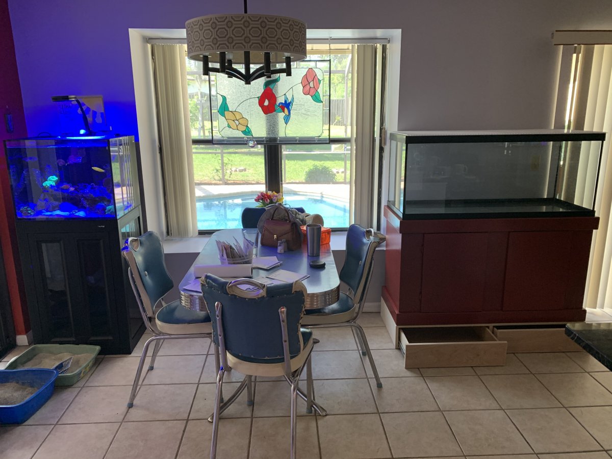 IMG_2493.jpeg