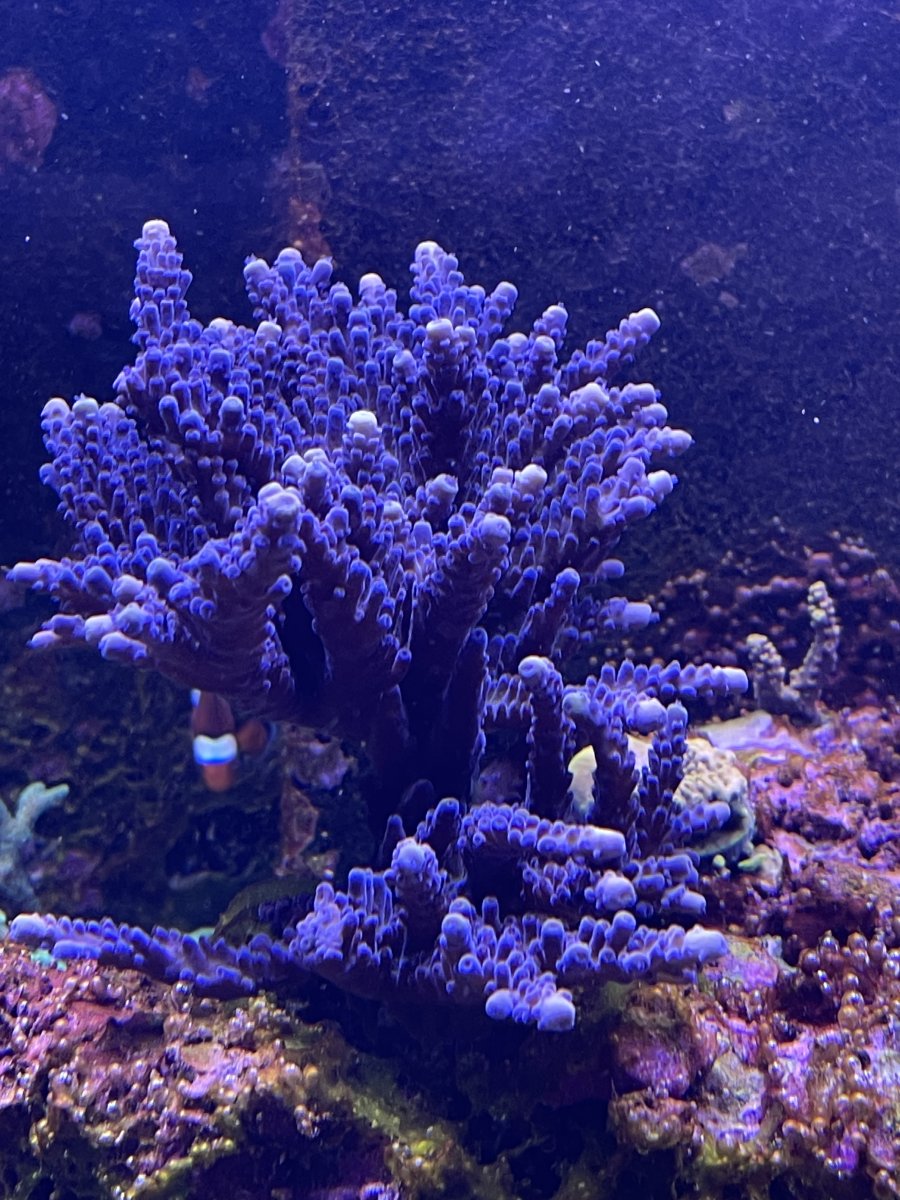 IMG_2503.jpeg