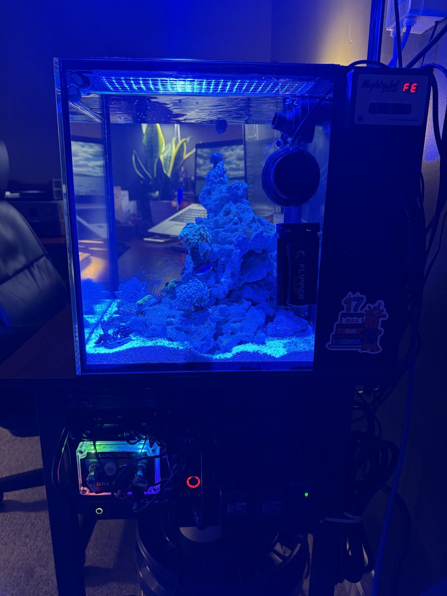 AIO Build - Innovative Marine 10 Home Office Build | Reef2Reef