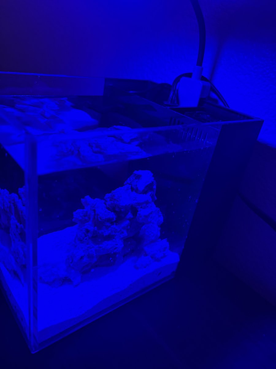 IMG_2514.jpeg