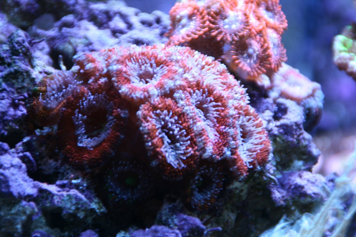 IMG_2523.JPG