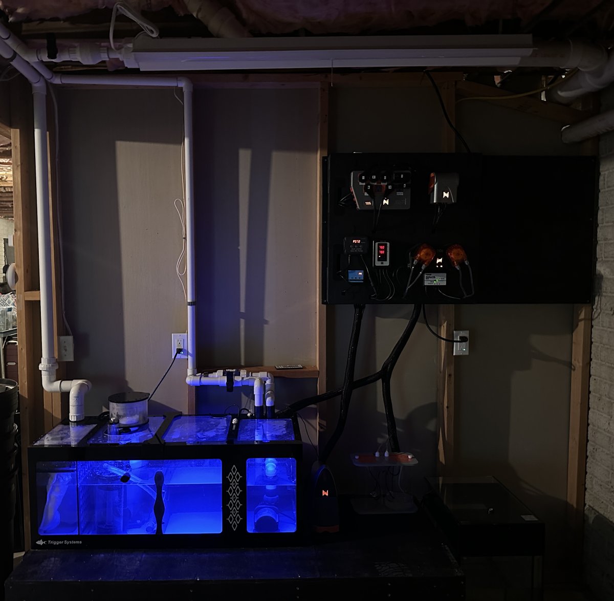 Build Thread - Waterbox Infinia 150.4 - well, not quite | Reef2Reef