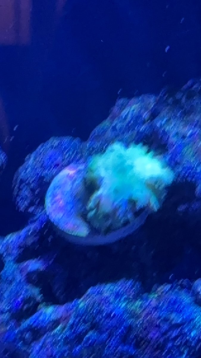 IMG_2531.jpeg