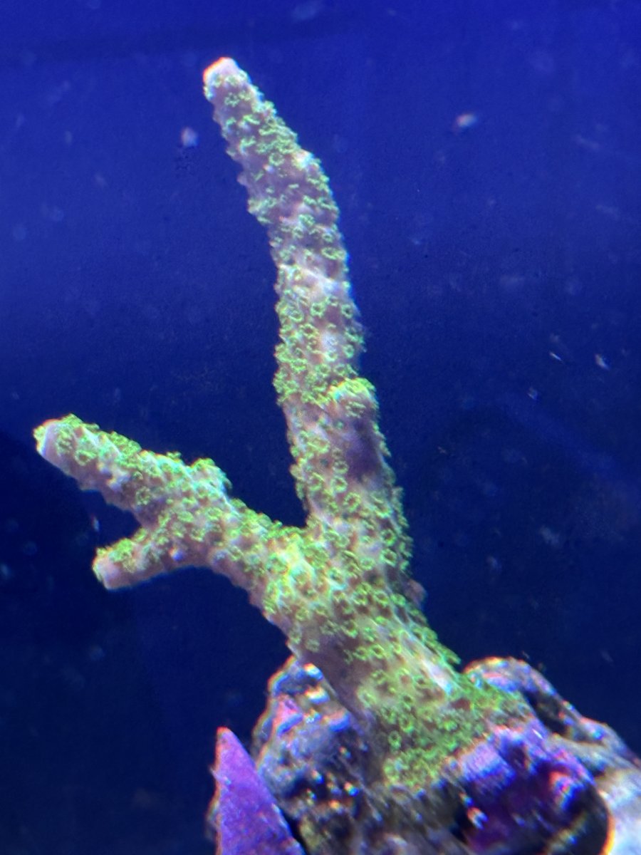 IMG_2544.jpeg
