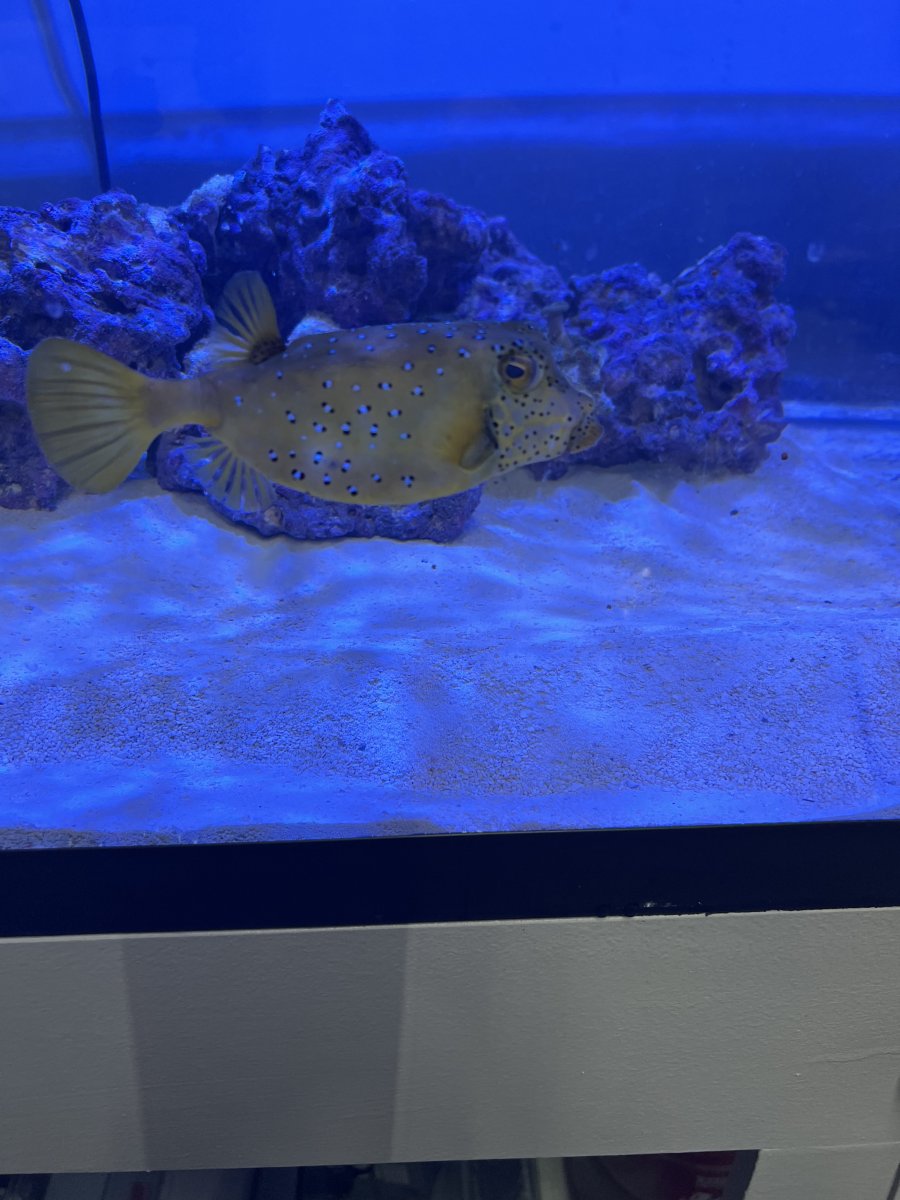 IMG_2545.jpeg