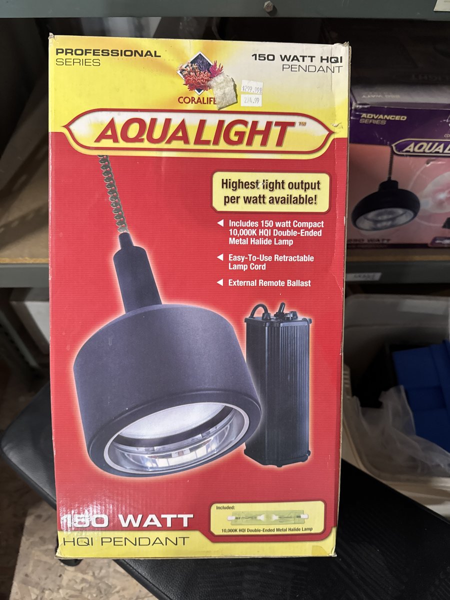 IMG_2546.jpeg