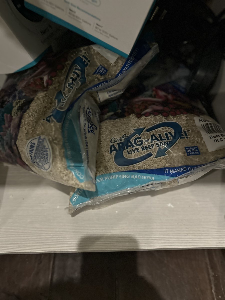 IMG_2552.jpeg