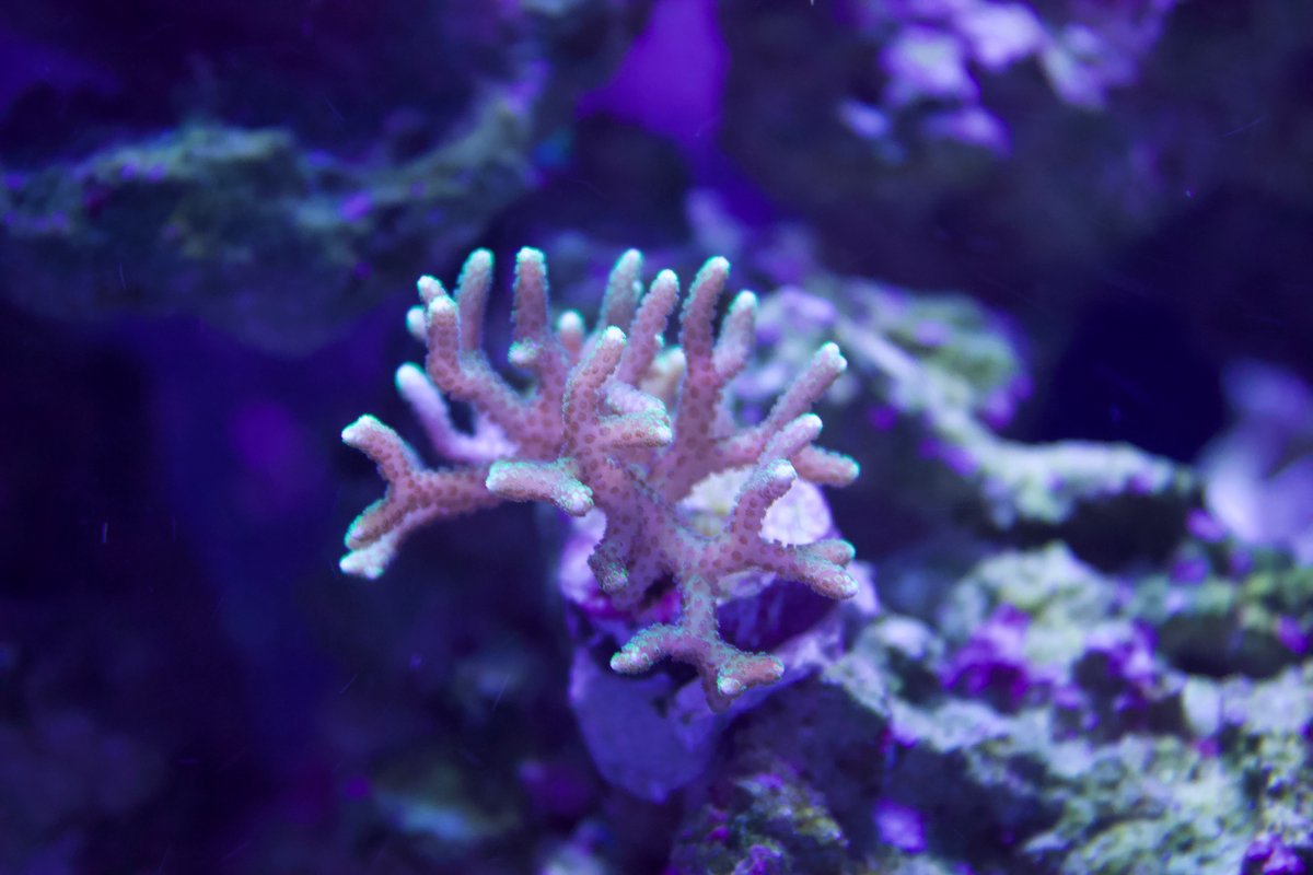 IMG_2566.jpeg