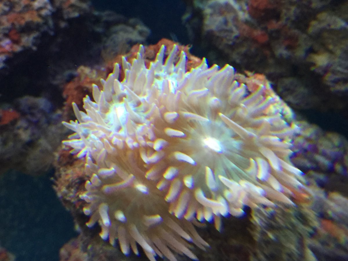 IMG_2605.JPG