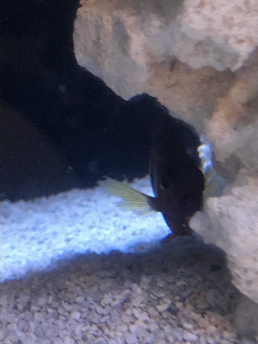 IMG_2626.jpg