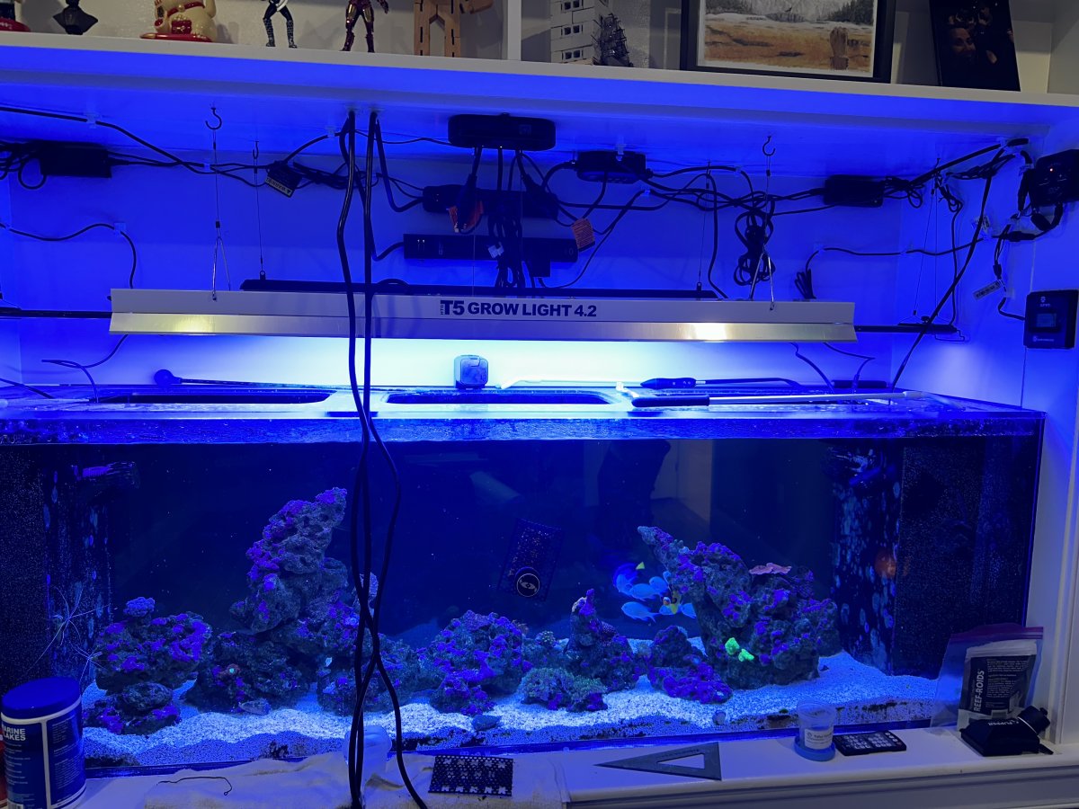 Build Thread - 125 Gallon Office Tank | Page 12 | Reef2Reef