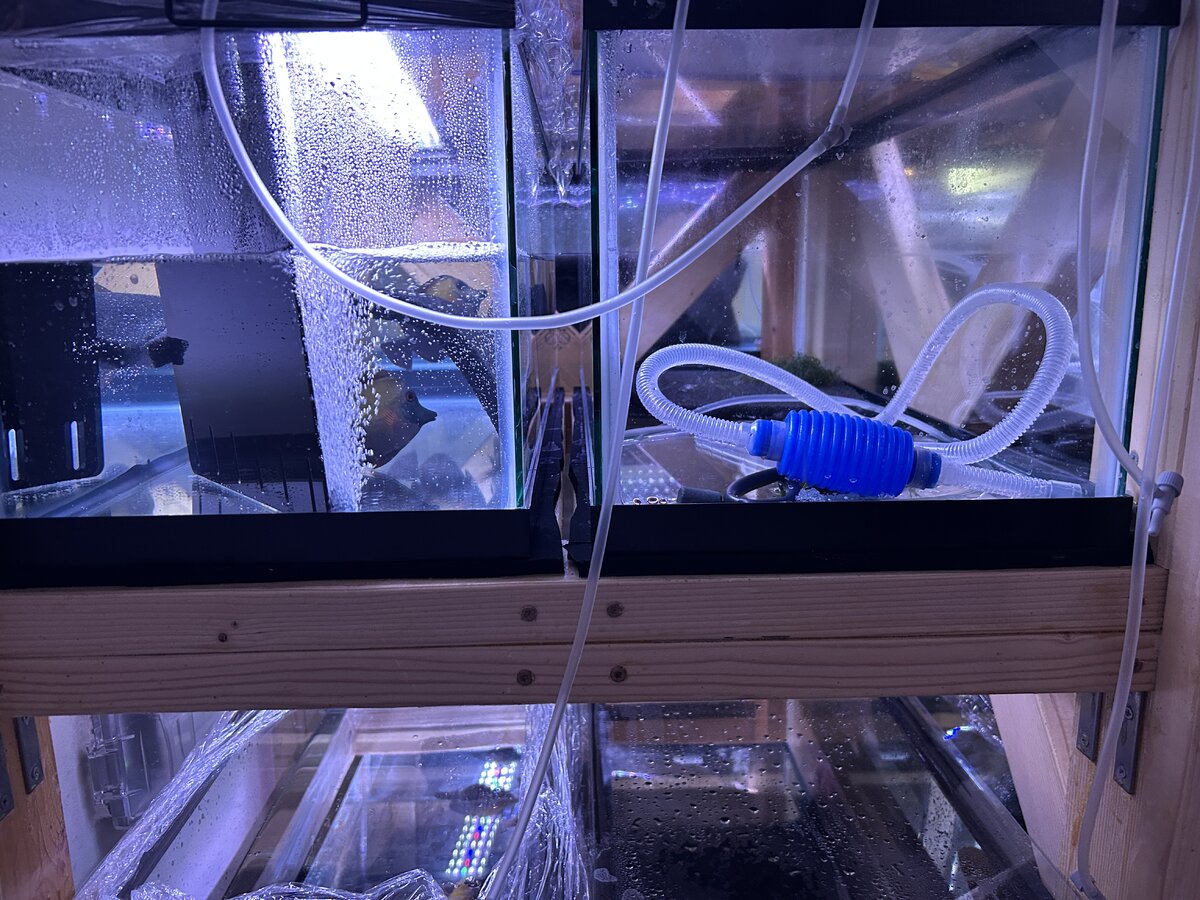 IMG_2635.JPG