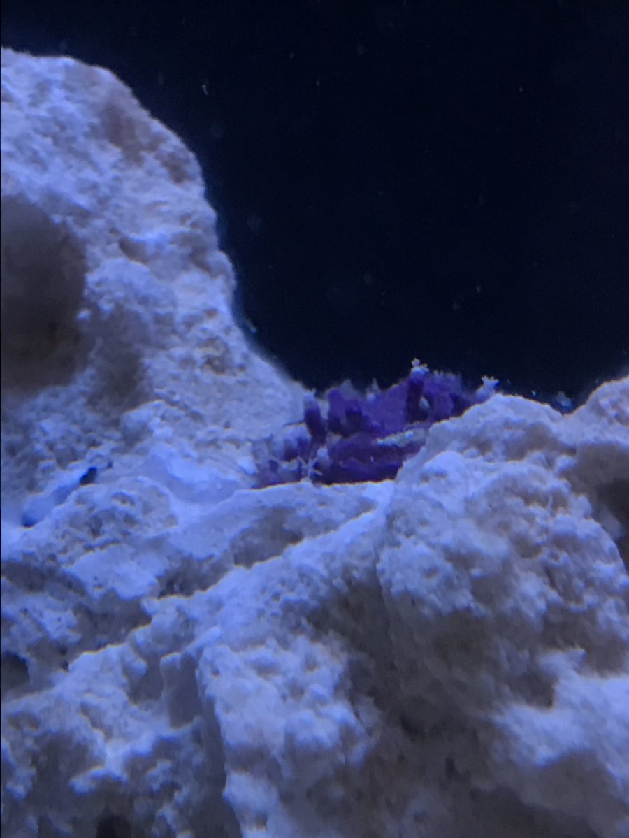 IMG_2635.jpg