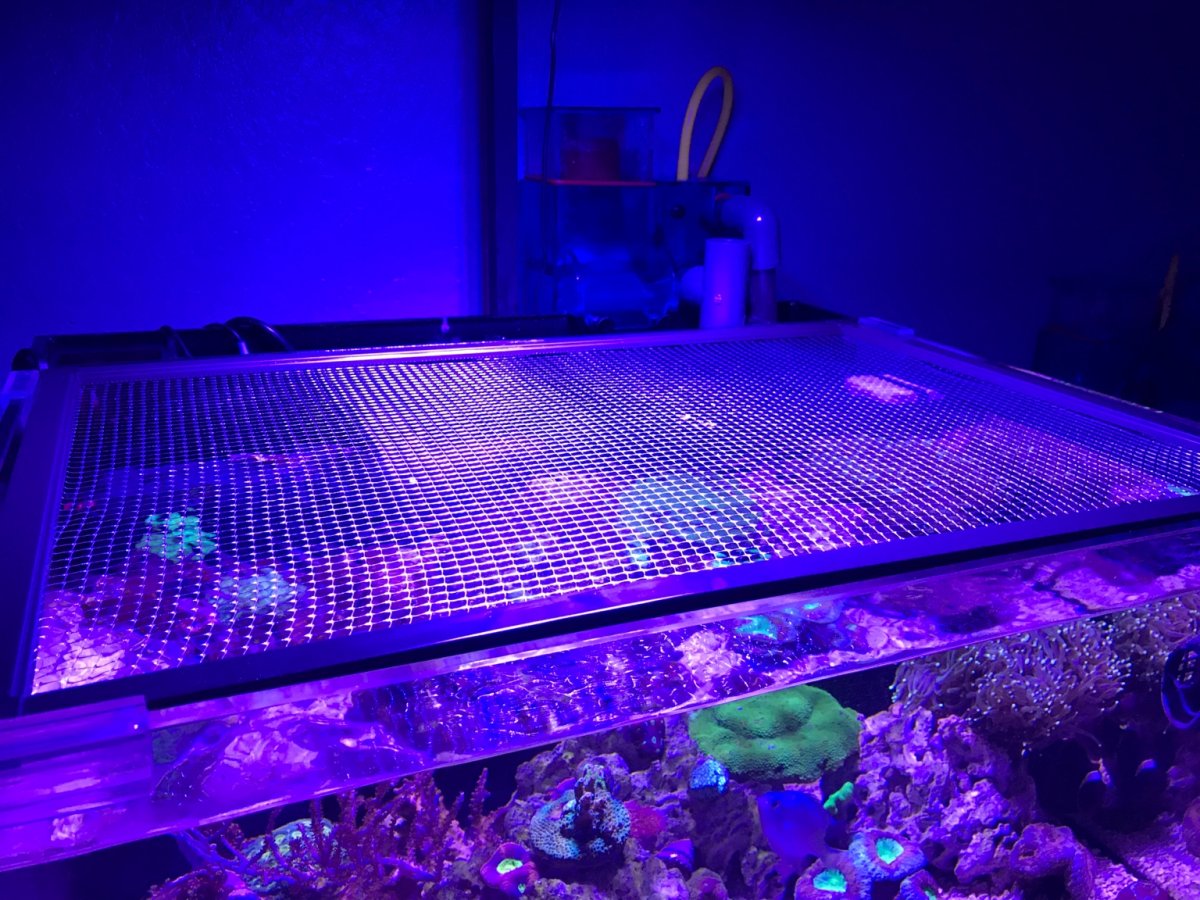 Tutorial: Make a DIY Screen Top for Your Aquarium - Bulk Reef Supply