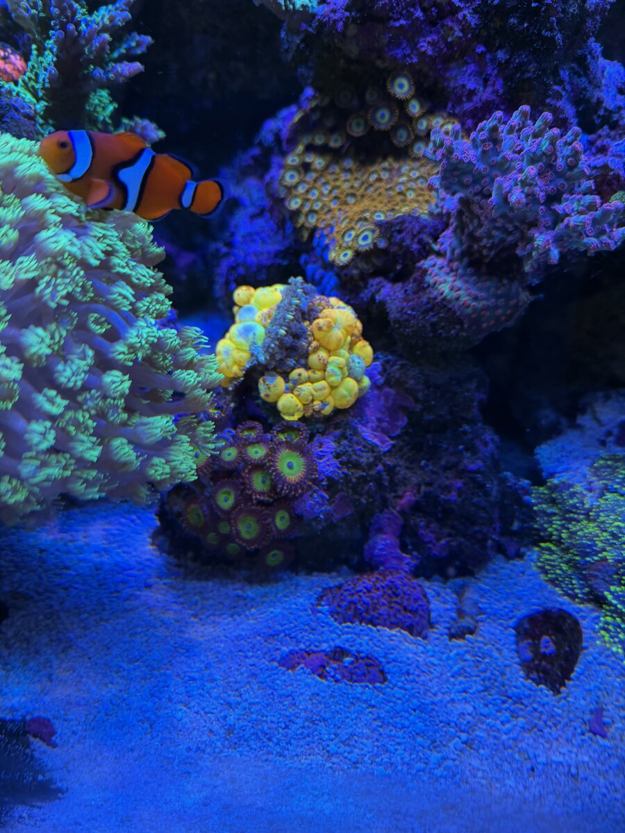 IMG_2674.jpeg