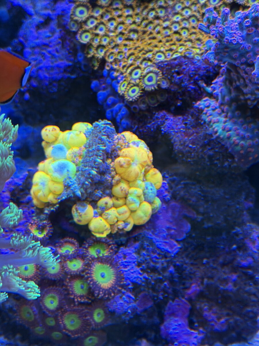 IMG_2677.jpeg