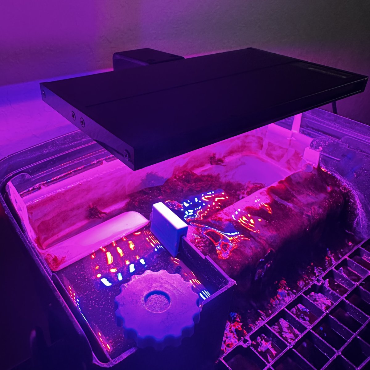 View of Options to raise Ph and Alkalinity in smaller tank? | Reef2Reef