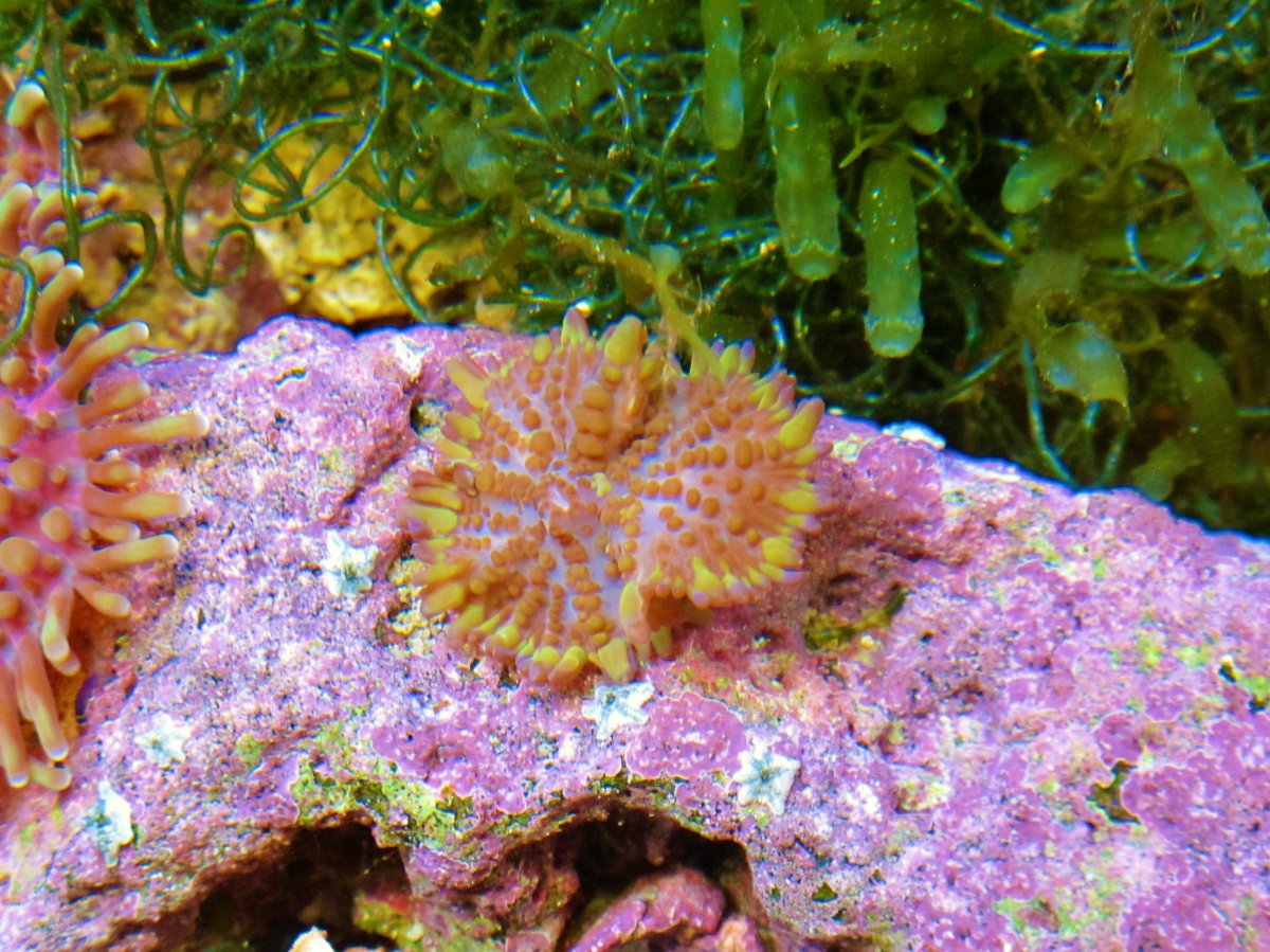 IMG_2709.JPG