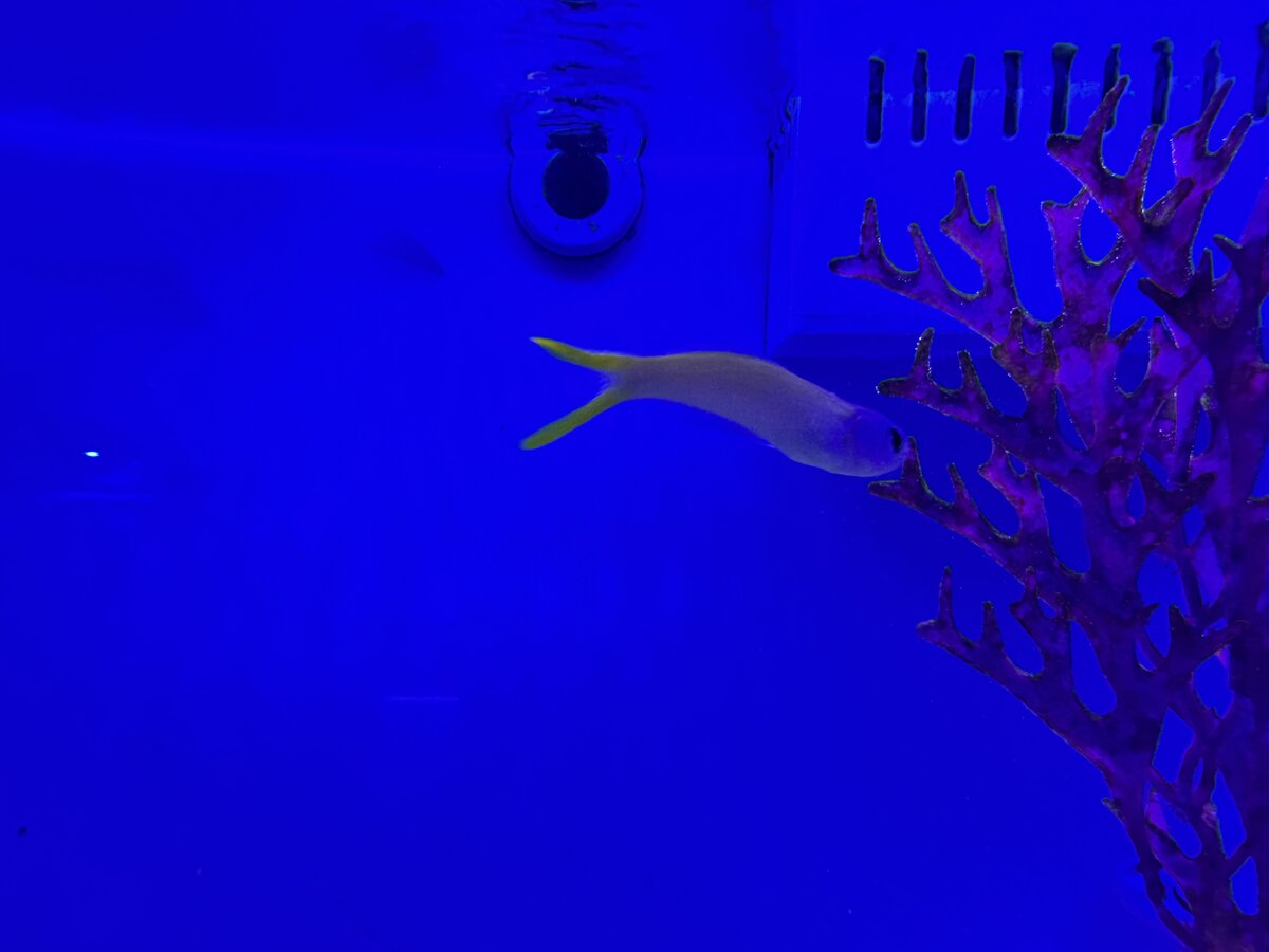 IMG_2717.jpeg
