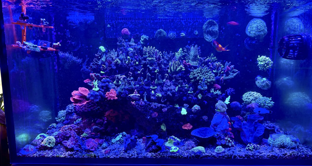 IMG_2740.jpeg