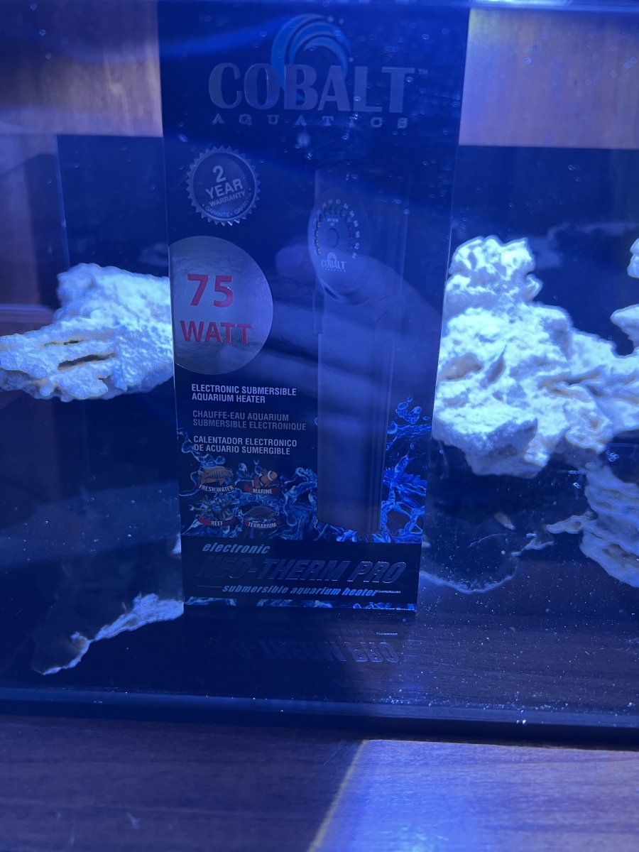 IMG_2747.jpeg
