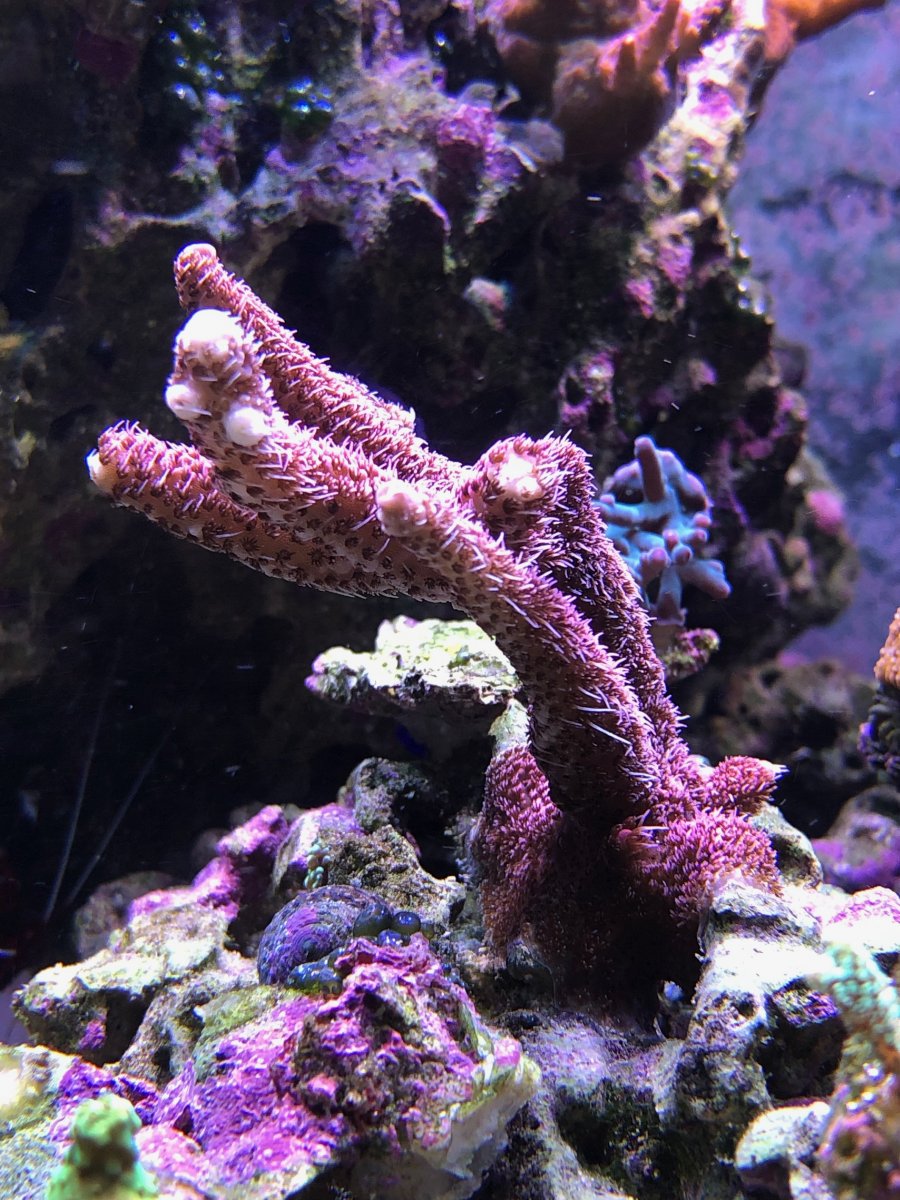 IMG_2750.jpeg