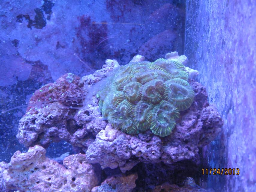 IMG_2758.jpg