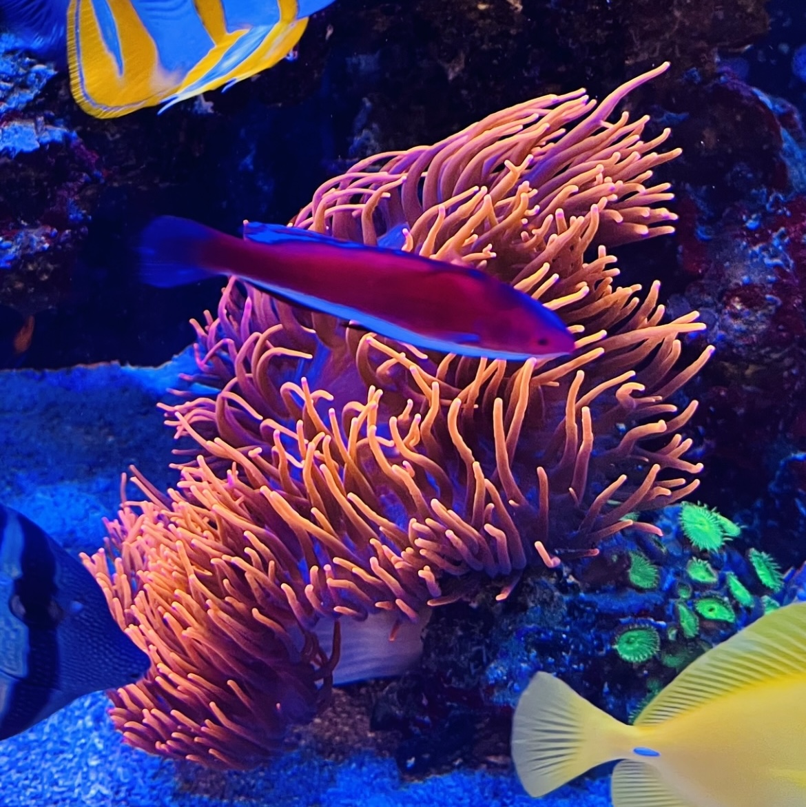IMG_2786.jpeg