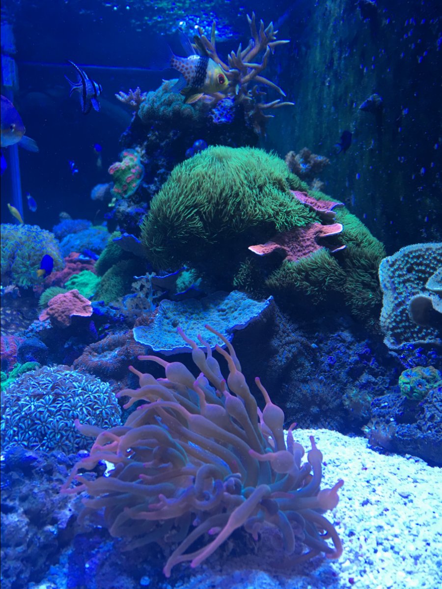 IMG_2806.JPG