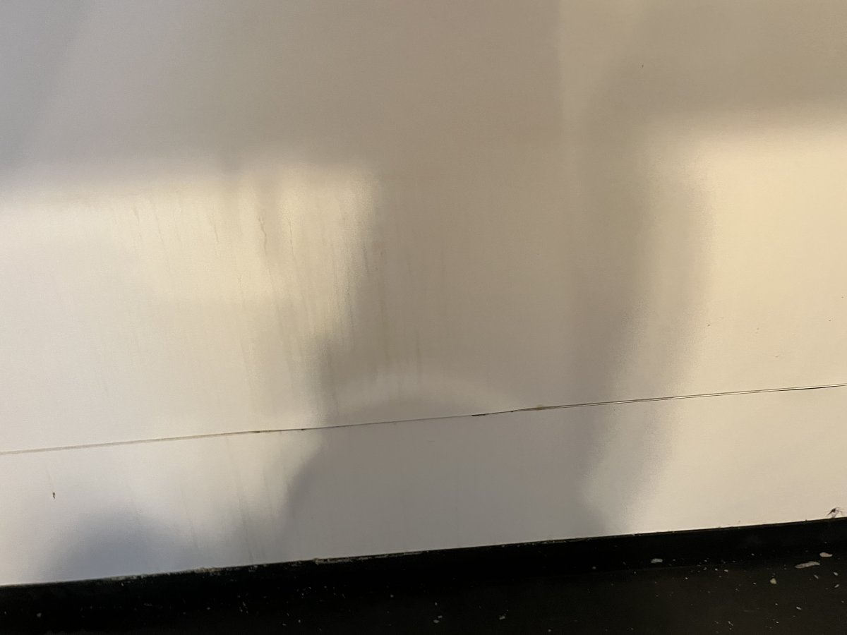 IMG_2810.jpeg