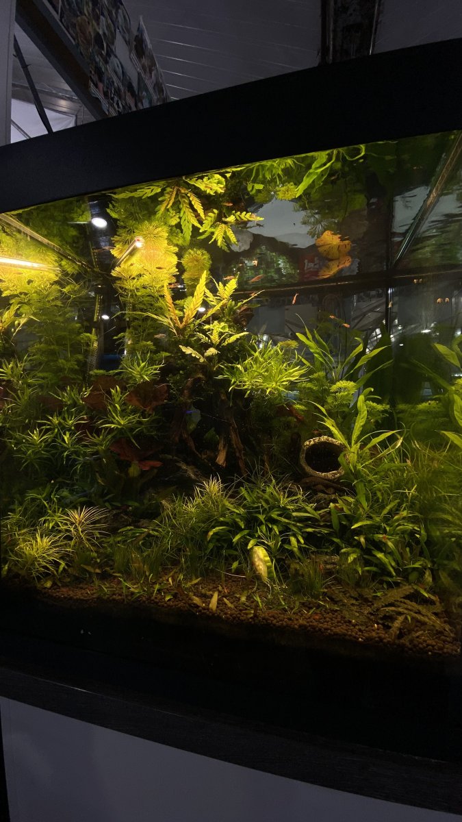 IMG_2813.jpeg