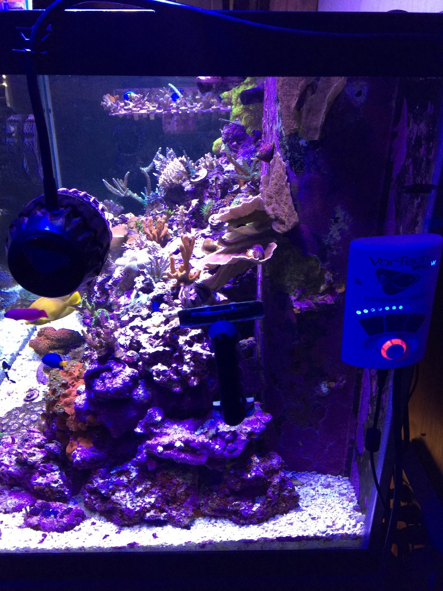 IMG_2817.JPG