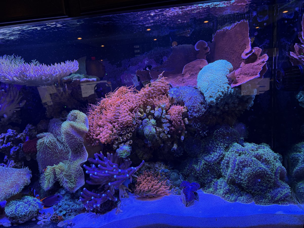 IMG_2824.jpeg