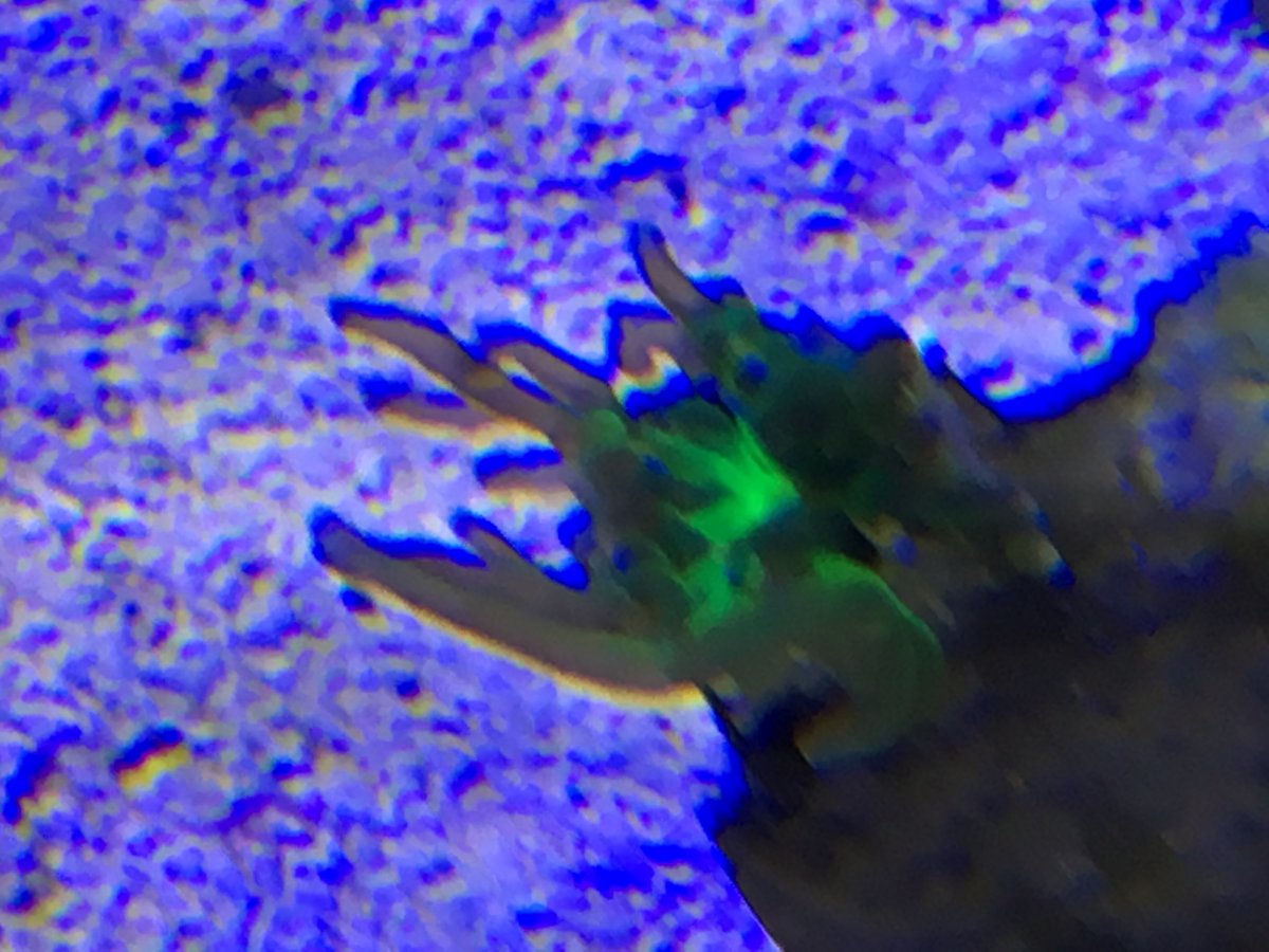 IMG_2824.JPG