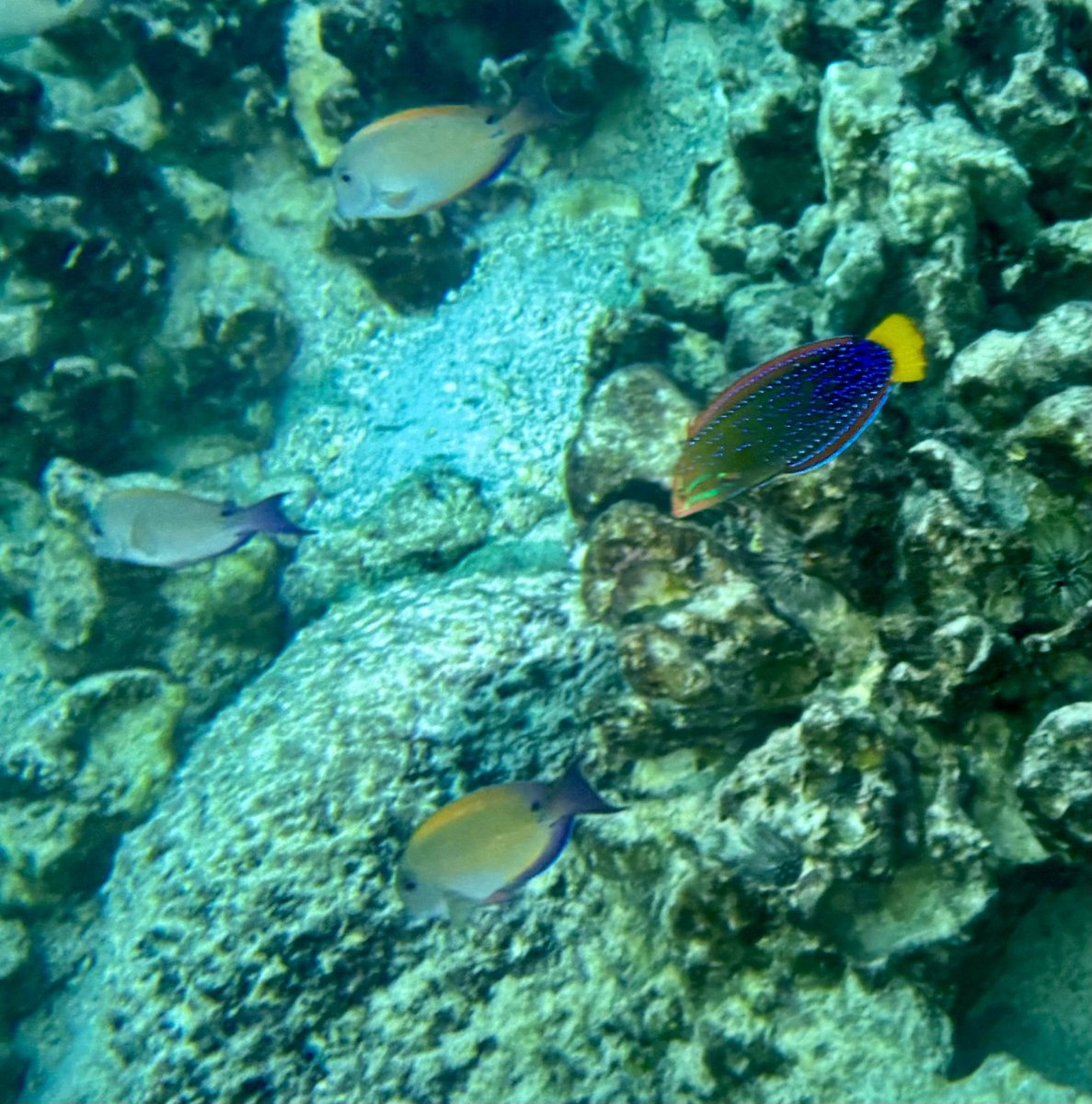 IMG_2831.jpeg