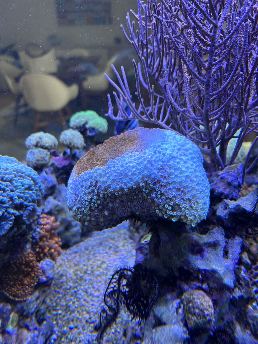 IMG_2838.jpeg