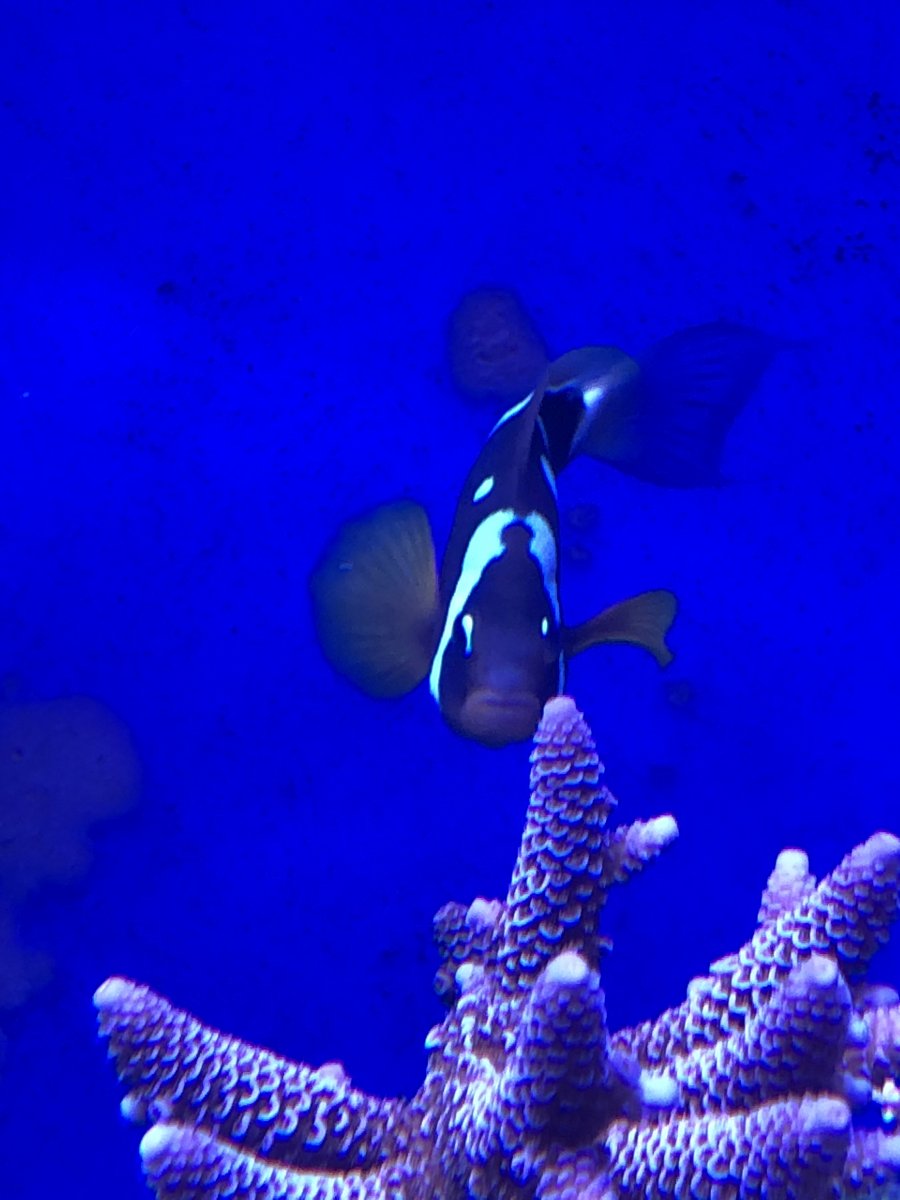 IMG_2847.jpeg