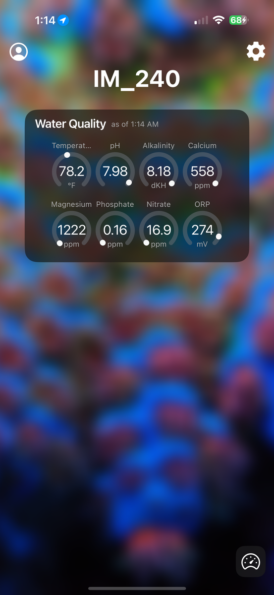 IMG_2864.png