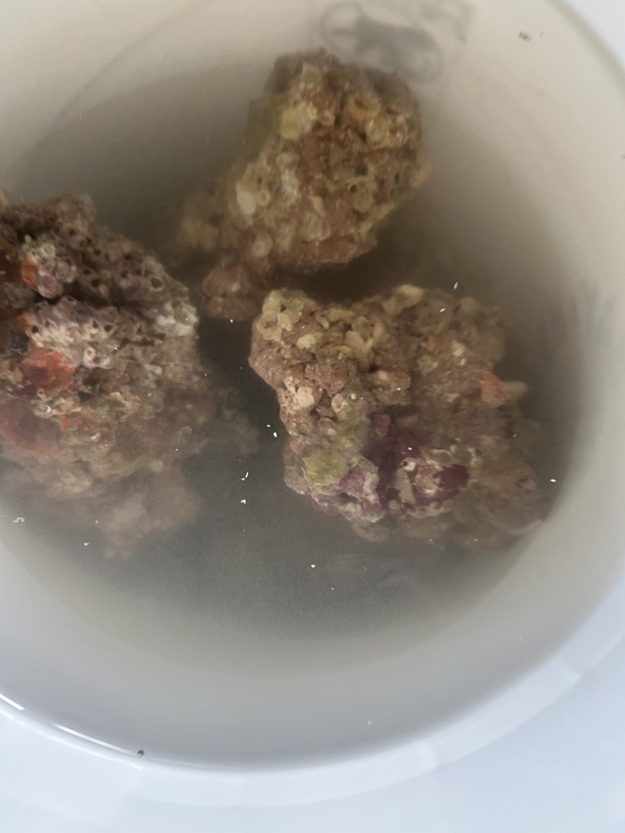 IMG_2870.jpeg