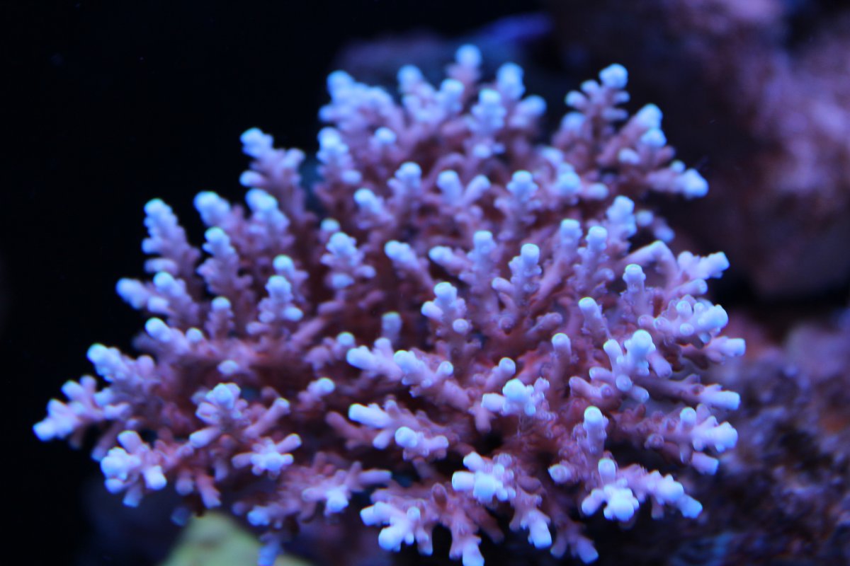 IMG_2887.JPG