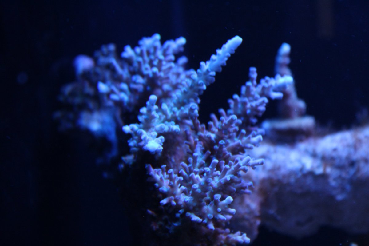 IMG_2893.JPG